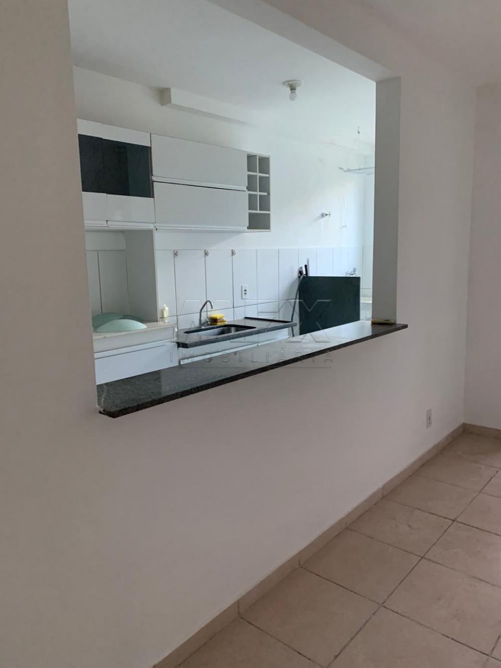 Alugar Apartamento / Padrão em Bauru apenas R$ 850,00 - Foto 3 Alugar Apartamento / Padrão em Bauru apenas R$ 850,00 - Foto 3