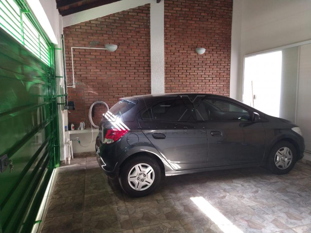 Comprar Casa / Padrão em Bauru R$ 450.000,00 - Foto 16 Comprar Casa / Padrão em Bauru R$ 450.000,00 - Foto 16