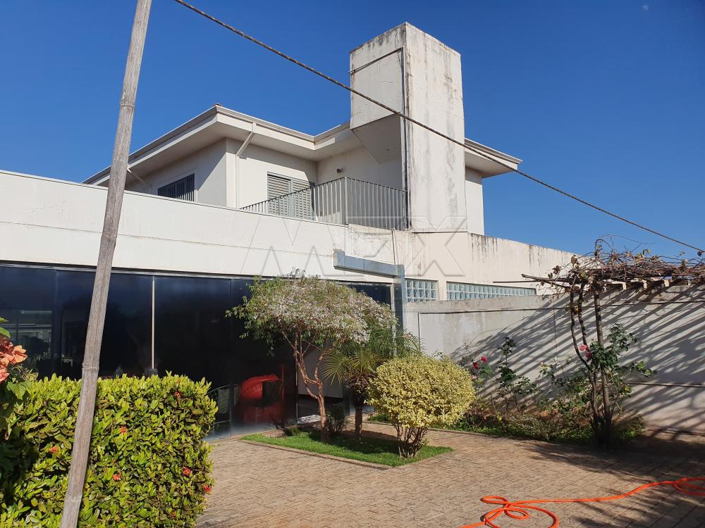 Comprar Casa / Padrão em Bauru apenas R$ 1.300.000,00 - Foto 5 Comprar Casa / Padrão em Bauru apenas R$ 1.300.000,00 - Foto 5