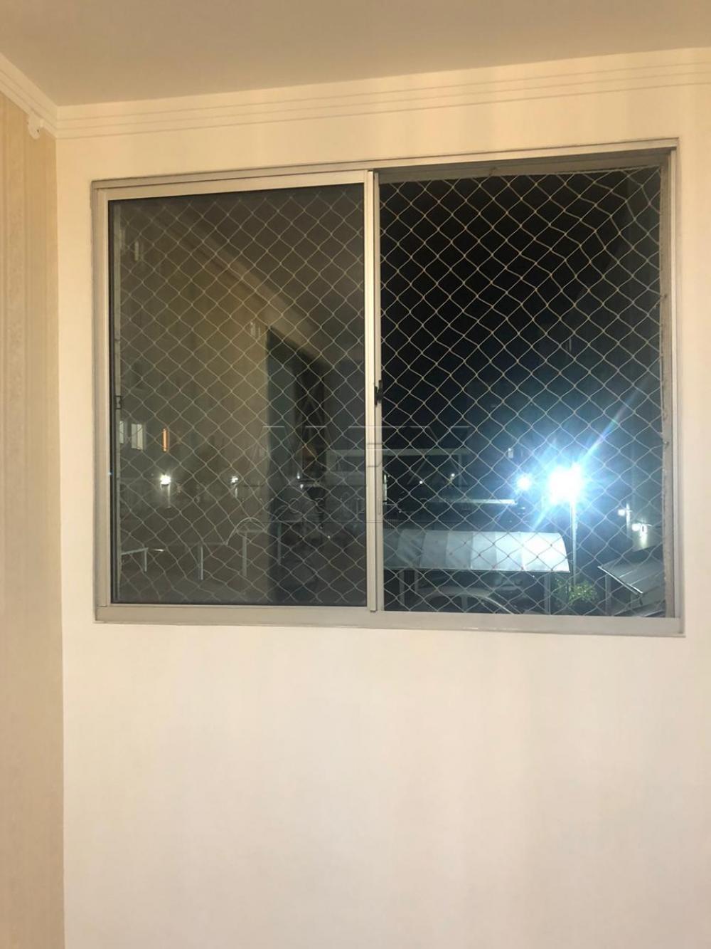Alugar Apartamento / Padrão em Bauru R$ 800,00 - Foto 8 Alugar Apartamento / Padrão em Bauru R$ 800,00 - Foto 8