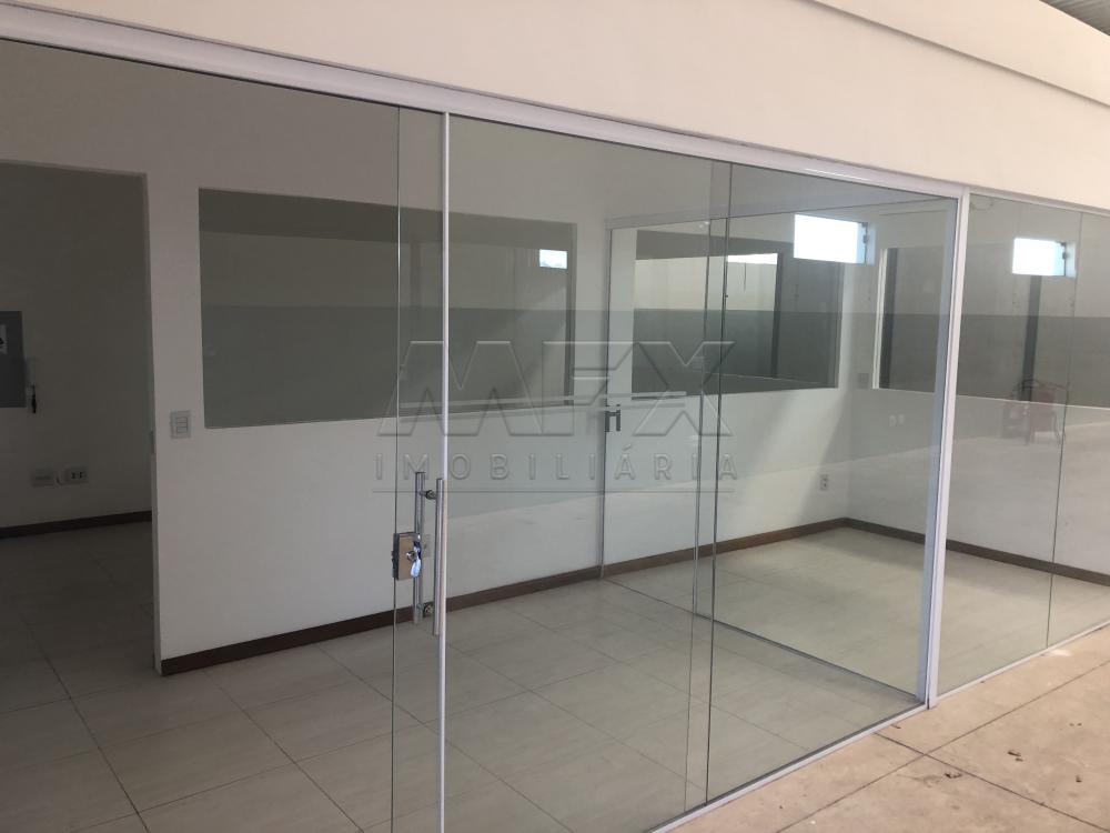 Alugar Comercial / Galpão em Bauru apenas R$ 4.800,00 - Foto 2 Alugar Comercial / Galpão em Bauru apenas R$ 4.800,00 - Foto 2