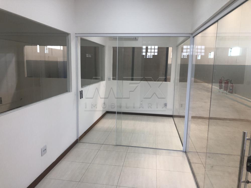Alugar Comercial / Galpão em Bauru apenas R$ 4.800,00 - Foto 5 Alugar Comercial / Galpão em Bauru apenas R$ 4.800,00 - Foto 5