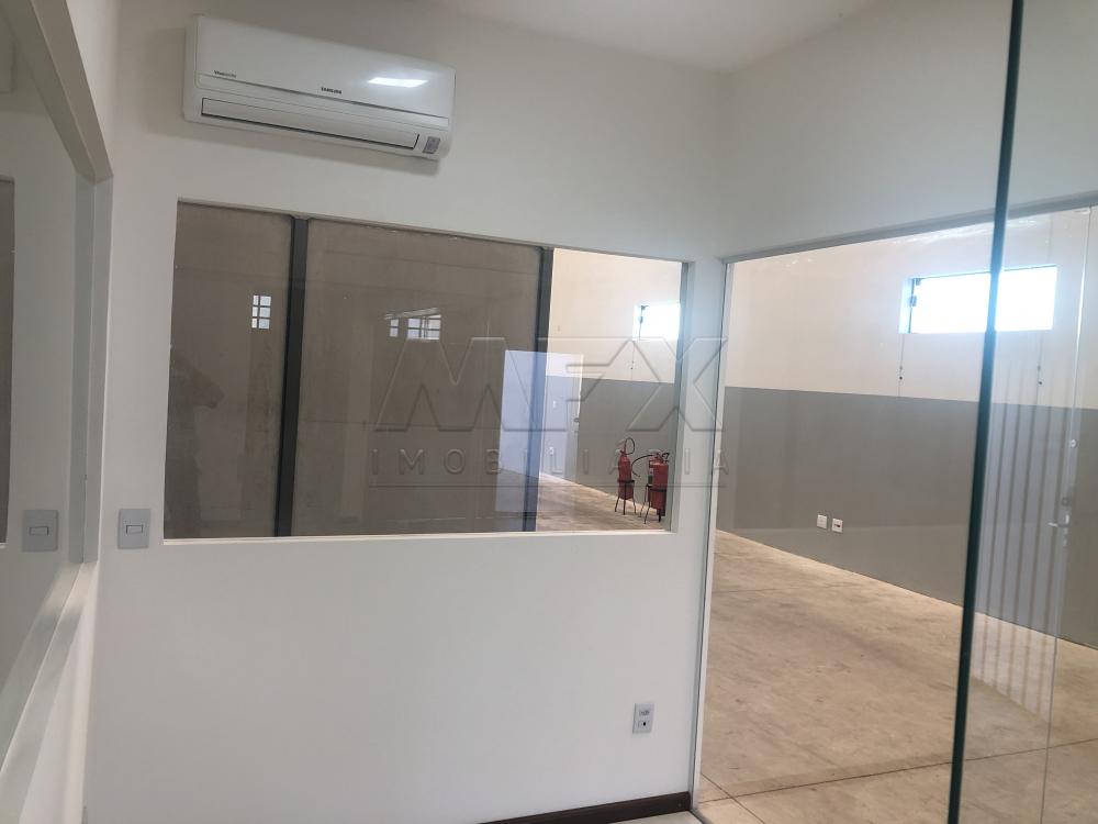 Alugar Comercial / Galpão em Bauru apenas R$ 4.800,00 - Foto 6 Alugar Comercial / Galpão em Bauru apenas R$ 4.800,00 - Foto 6