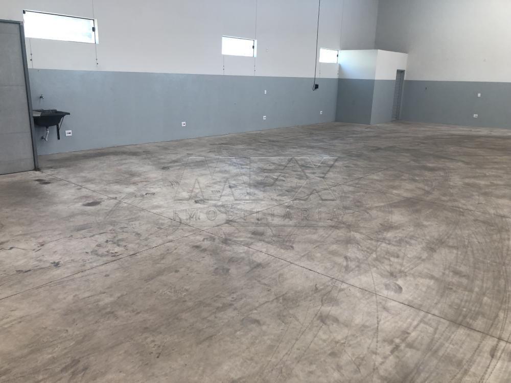 Alugar Comercial / Galpão em Bauru apenas R$ 4.800,00 - Foto 12 Alugar Comercial / Galpão em Bauru apenas R$ 4.800,00 - Foto 12