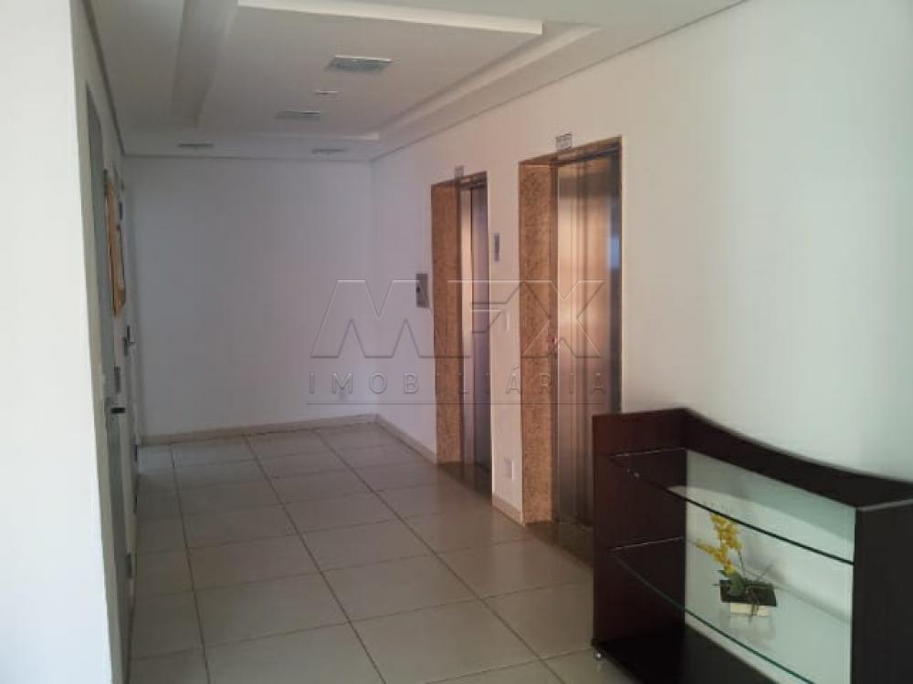 Alugar Apartamento / Padrão em Bauru R$ 750,00 - Foto 13 Alugar Apartamento / Padrão em Bauru R$ 750,00 - Foto 13