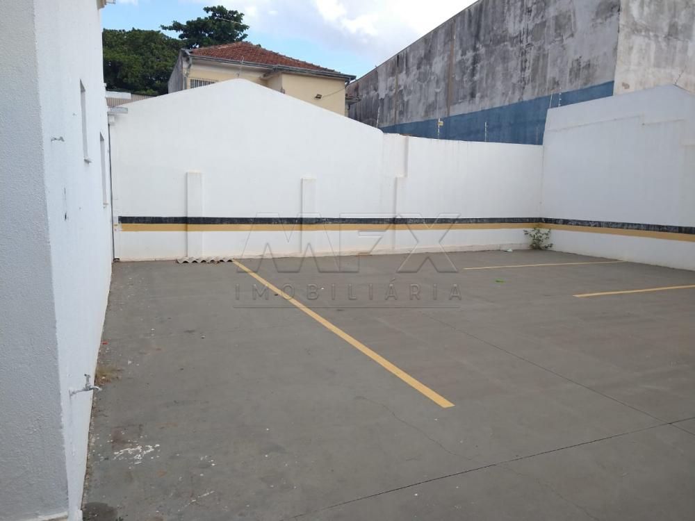 Alugar Casa / Padrão em Bauru R$ 7.500,00 - Foto 26 Alugar Casa / Padrão em Bauru R$ 7.500,00 - Foto 26