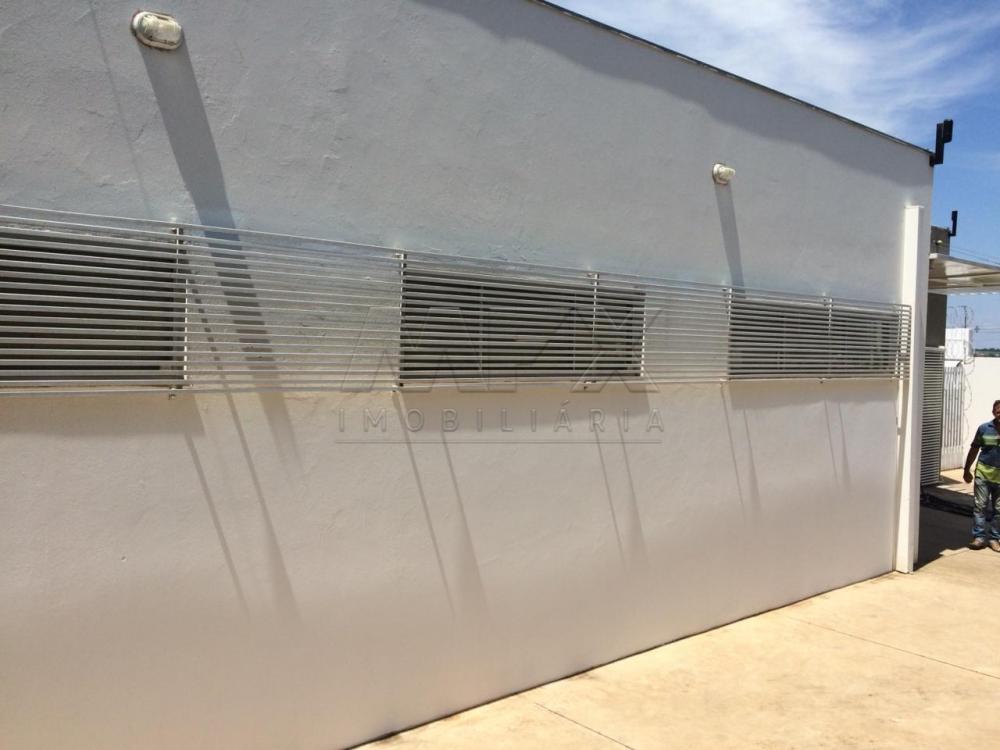 Alugar Comercial / Ponto Comercial em Bauru R$ 6.500,00 - Foto 18 Alugar Comercial / Ponto Comercial em Bauru R$ 6.500,00 - Foto 18