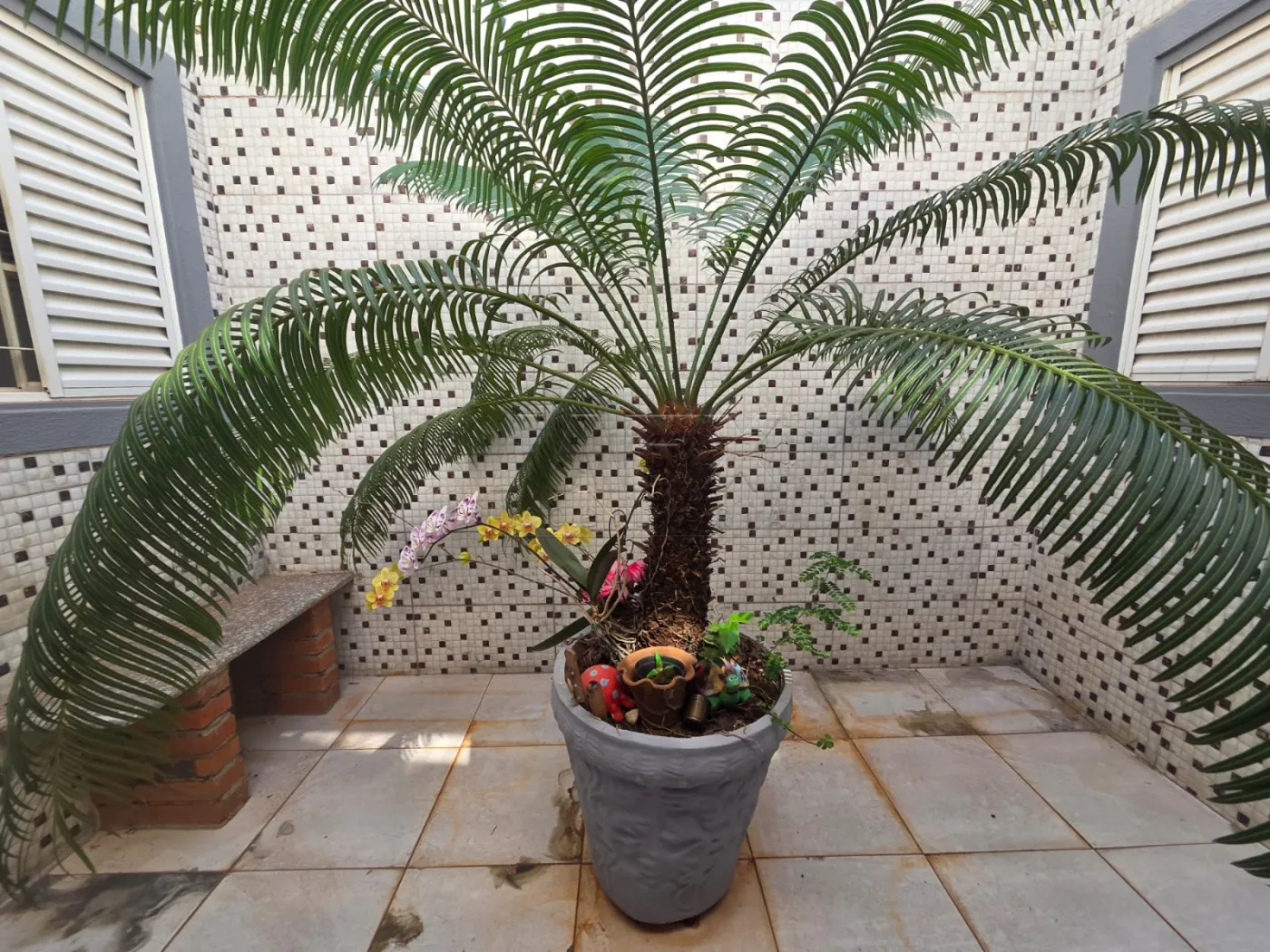 Comprar Casa / Padrão em Bauru R$ 425.000,00 - Foto 5