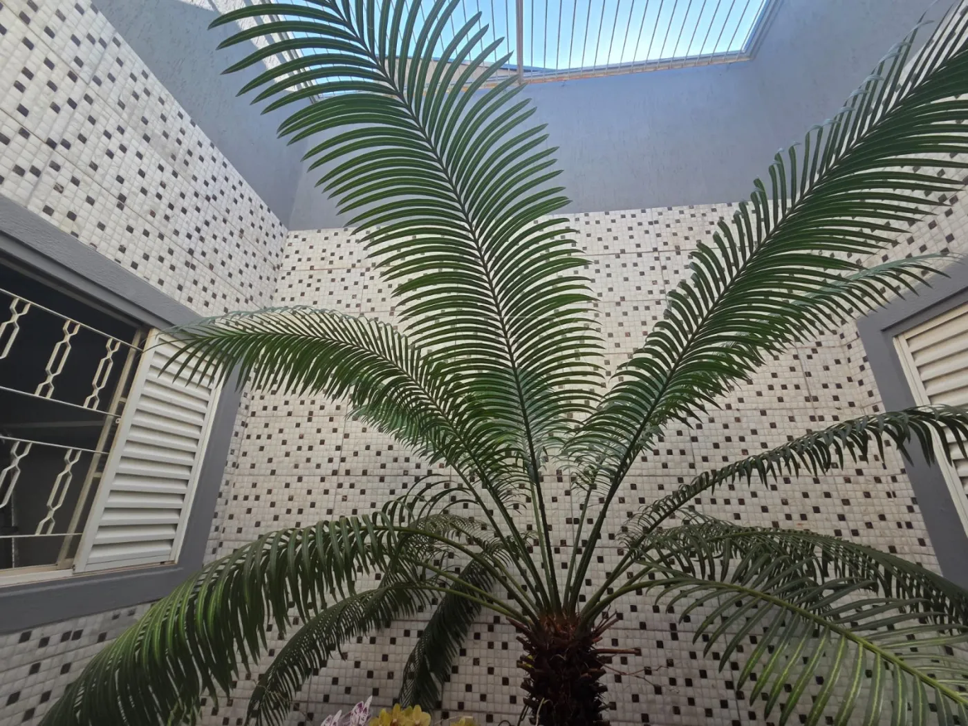 Comprar Casa / Padrão em Bauru R$ 425.000,00 - Foto 7