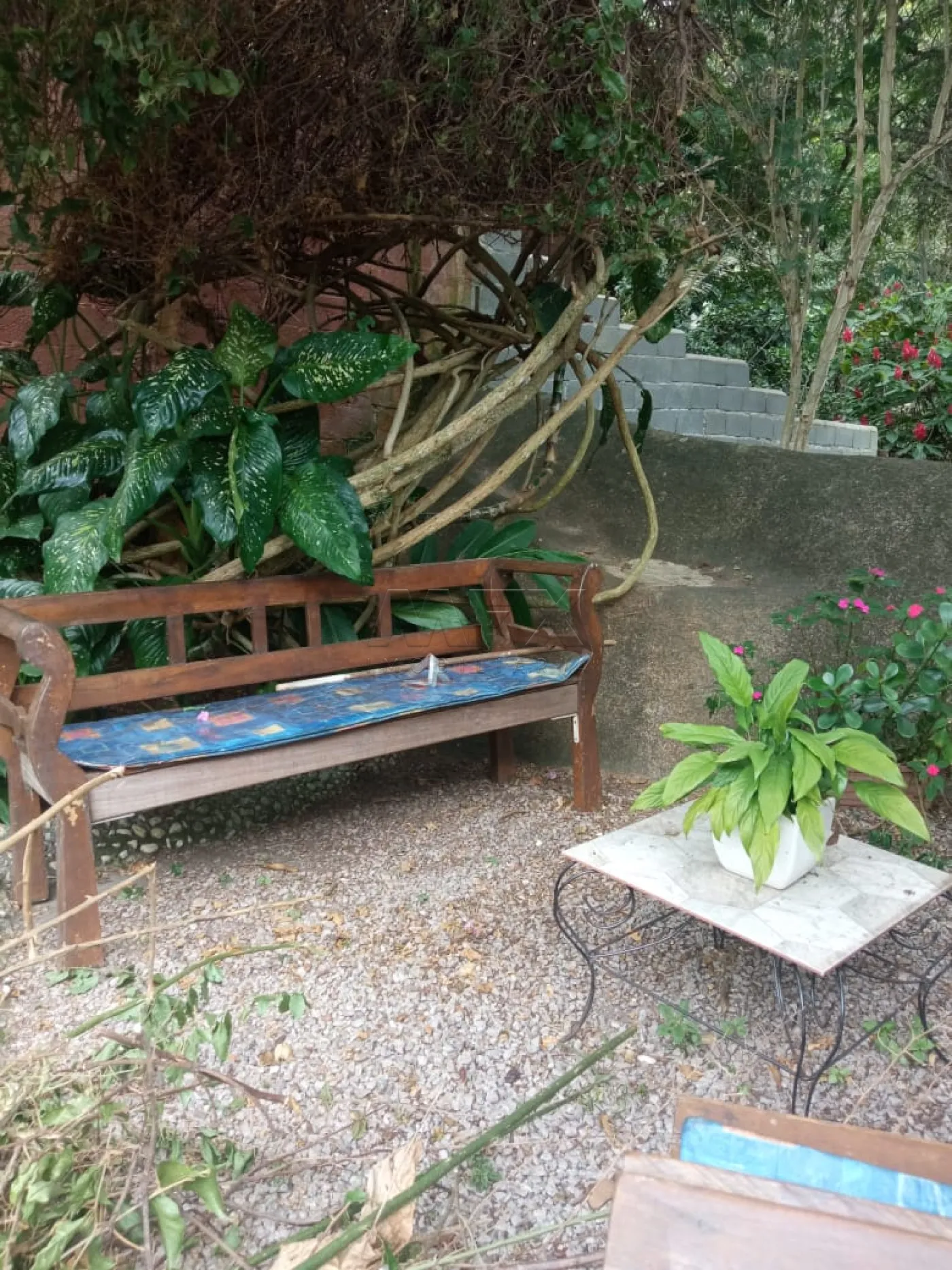 Comprar Casa / Padrão em Ilhabela R$ 1.900.000,00 - Foto 10
