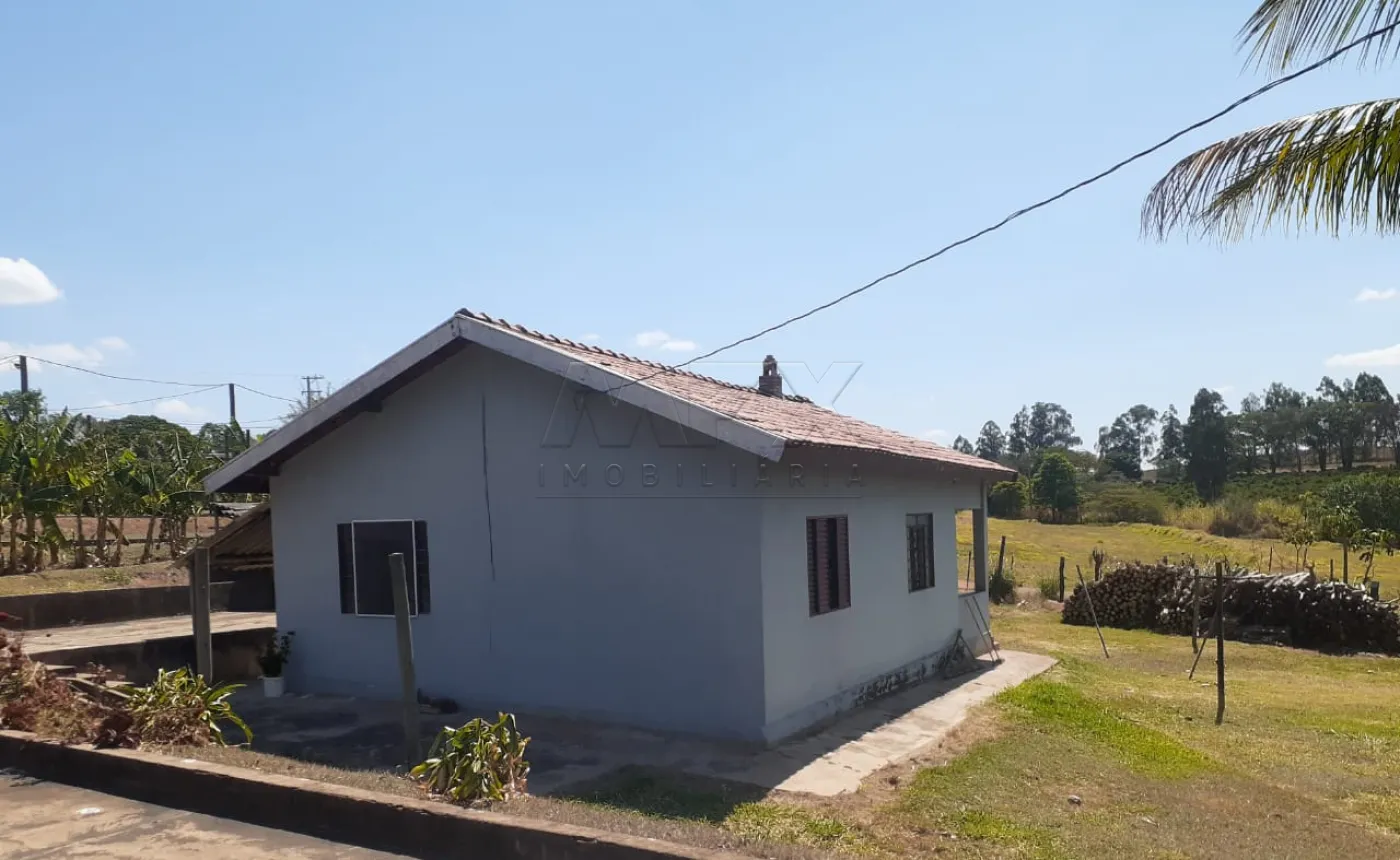 Comprar Rural / Sítio em Garça R$ 1.700.000,00 - Foto 8