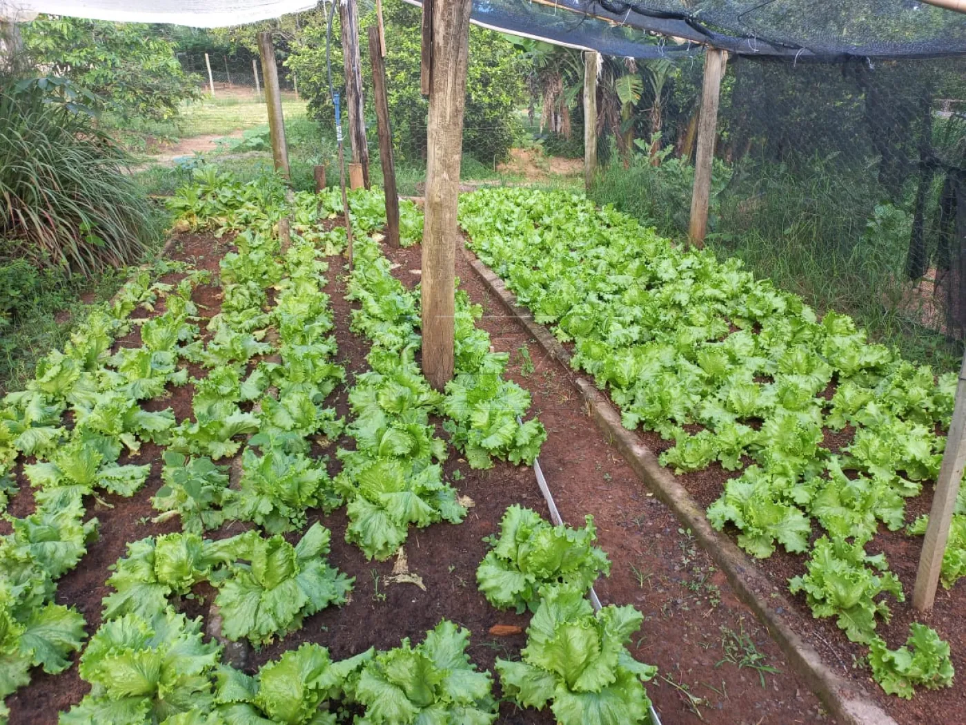 Comprar Rural / Sítio em Garça R$ 1.700.000,00 - Foto 9