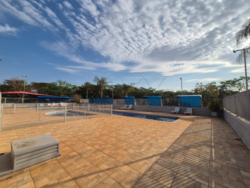 Comprar Casa / Condomínio em Bauru R$ 395.000,00 - Foto 19