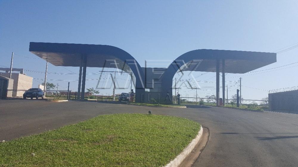 Comprar Casa / Condomínio em Piratininga apenas R$ 850.000,00 - Foto 36 Comprar Casa / Condomínio em Piratininga apenas R$ 850.000,00 - Foto 36