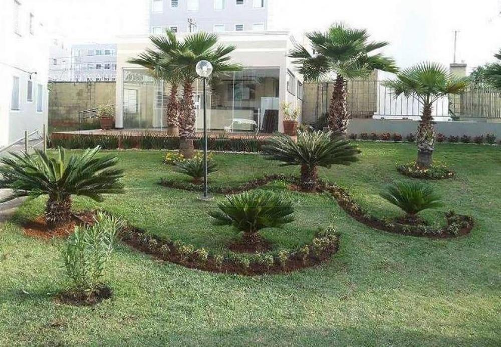 Alugar Apartamento / Padrão em Bauru R$ 800,00 - Foto 11 Alugar Apartamento / Padrão em Bauru R$ 800,00 - Foto 11