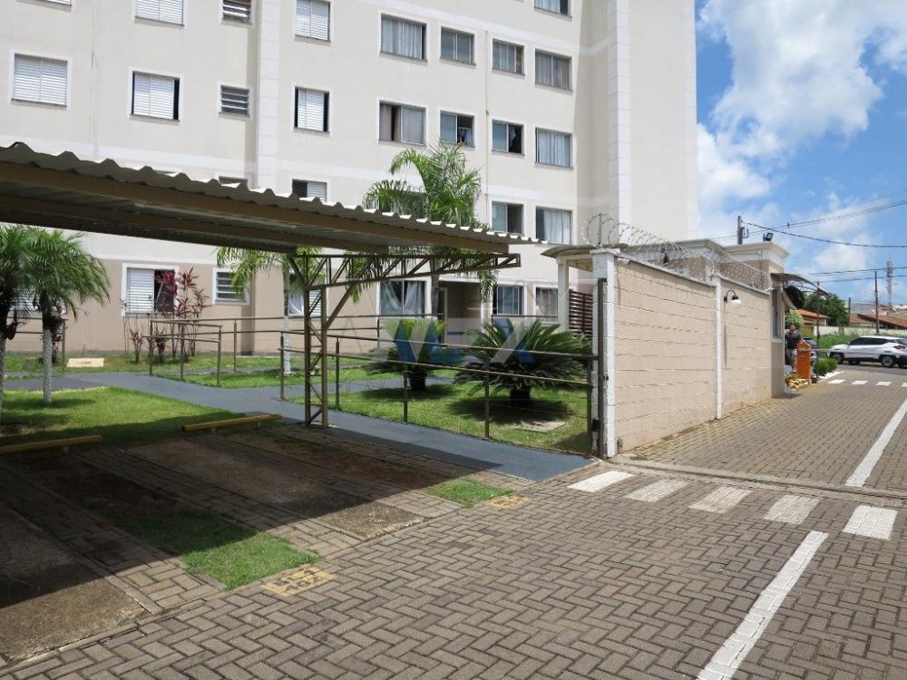 Alugar Apartamento / Padrão em Bauru R$ 780,00 - Foto 9 Alugar Apartamento / Padrão em Bauru R$ 780,00 - Foto 9