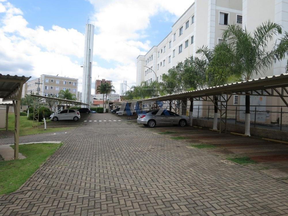 Alugar Apartamento / Padrão em Bauru R$ 780,00 - Foto 11 Alugar Apartamento / Padrão em Bauru R$ 780,00 - Foto 11