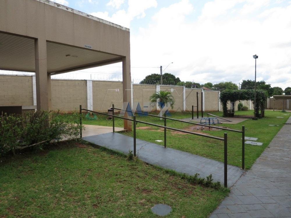 Alugar Apartamento / Padrão em Bauru R$ 780,00 - Foto 12 Alugar Apartamento / Padrão em Bauru R$ 780,00 - Foto 12