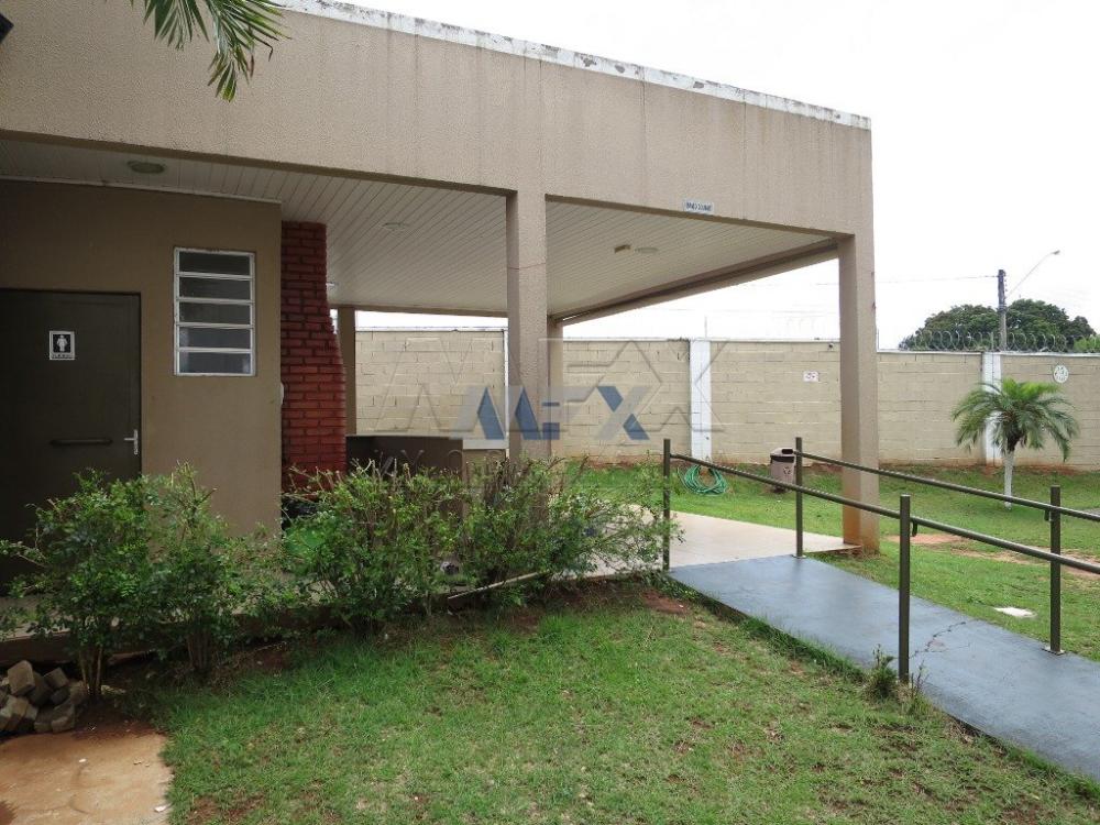 Alugar Apartamento / Padrão em Bauru R$ 780,00 - Foto 13 Alugar Apartamento / Padrão em Bauru R$ 780,00 - Foto 13