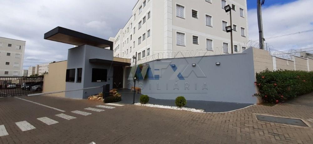 Alugar Apartamento / Padrão em Bauru R$ 780,00 - Foto 14 Alugar Apartamento / Padrão em Bauru R$ 780,00 - Foto 14