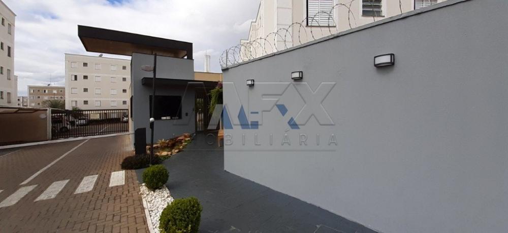 Alugar Apartamento / Padrão em Bauru R$ 780,00 - Foto 15 Alugar Apartamento / Padrão em Bauru R$ 780,00 - Foto 15