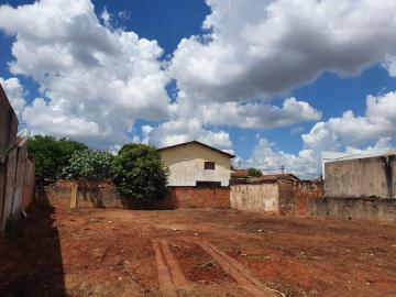 imagem 2 - Terreno no Núcleo Residencial Presidente Geisel imagem 2 - Terreno no Núcleo Residencial Presidente Geisel