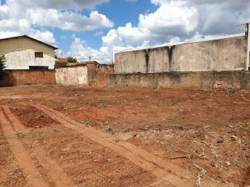 imagem 3 - Terreno no Núcleo Residencial Presidente Geisel imagem 3 - Terreno no Núcleo Residencial Presidente Geisel