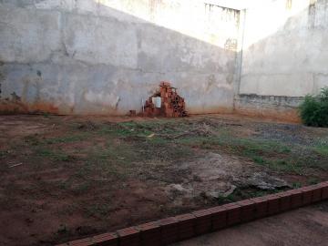 imagem 2 - Casa no Parque Jardim Europa imagem 2 - Casa no Parque Jardim Europa