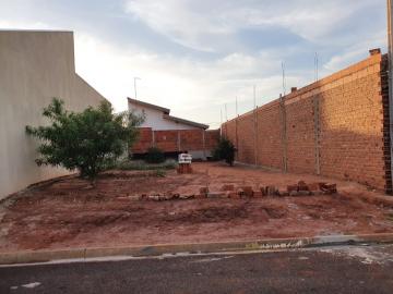 imagem 1 - Terreno - Padrão imagem 1 - Terreno - Padrão