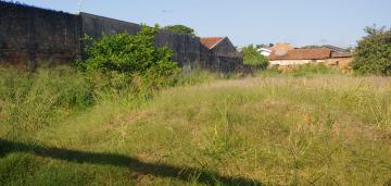 imagem 1 - Terreno - Padrão imagem 1 - Terreno - Padrão