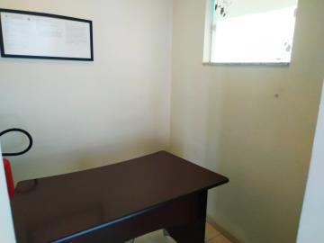Alugar Comercial / Ponto Comercial em Bauru R$ 4.700,00 - Foto 13 Alugar Comercial / Ponto Comercial em Bauru R$ 4.700,00 - Foto 13