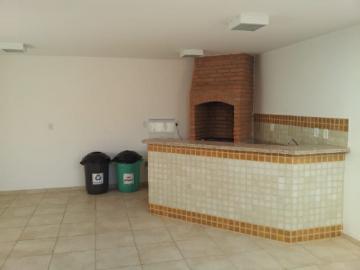Alugar Apartamento / Padrão em Bauru R$ 750,00 - Foto 12 Alugar Apartamento / Padrão em Bauru R$ 750,00 - Foto 12