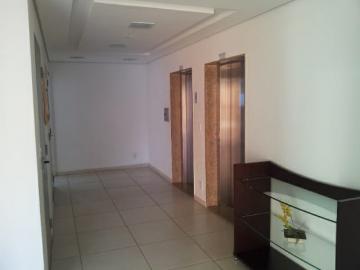 Alugar Apartamento / Padrão em Bauru R$ 750,00 - Foto 13 Alugar Apartamento / Padrão em Bauru R$ 750,00 - Foto 13