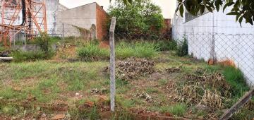 imagem 1 - Terreno no Parque Jardim Europa imagem 1 - Terreno no Parque Jardim Europa