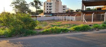 imagem 2 - Terreno na Vila Aviação imagem 2 - Terreno na Vila Aviação