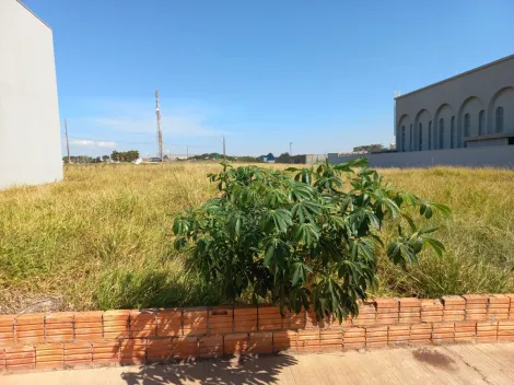 Sao Manuel Jardim Pinheiro Terreno Venda R$1.730.000,00  Area do terreno 3839.81m2 