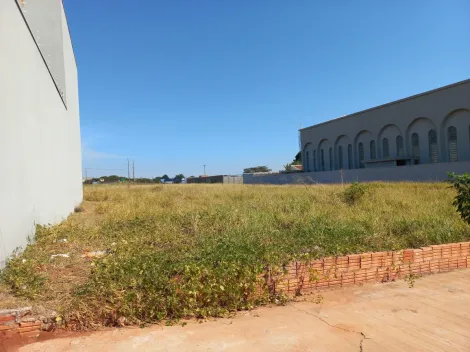 imagem 4 - Terreno em São Manuel imagem 4 - Terreno em São Manuel