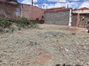 Alugar Terreno / Padrão em Bauru. apenas R$ 275.000,00