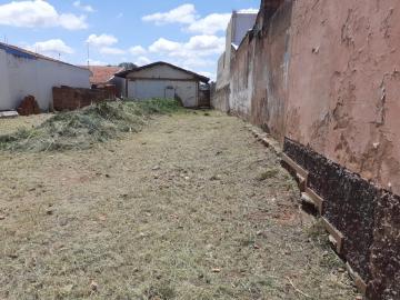 Terreno no Jardim Terra Branca