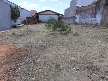 imagem 5 - Terreno no Jardim Terra Branca imagem 5 - Terreno no Jardim Terra Branca