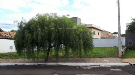 imagem 3 - Terreno no Condomínio Quinta Ranieri Blue imagem 3 - Terreno no Condomínio Quinta Ranieri Blue
