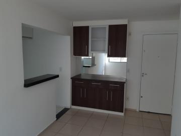 Residencial Borghesi / 2 quartos e 1 vaga