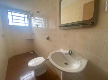 imagem 2 - Centro da Cidade imagem 2 - Centro da Cidade