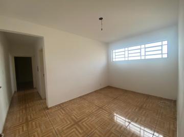 imagem 3 - Centro da Cidade imagem 3 - Centro da Cidade