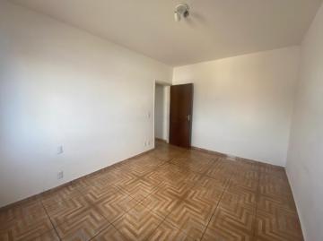 imagem 5 - Centro da Cidade imagem 5 - Centro da Cidade