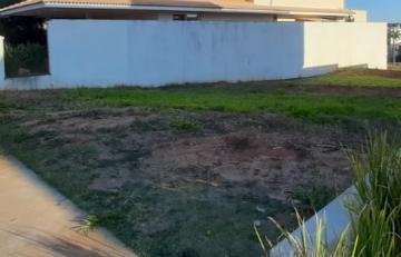 Alugar Terreno / Condomínio em Bauru. apenas R$ 650.000,00