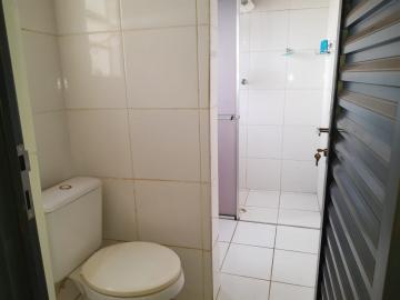 Alugar Casa / Padrão em Bauru R$ 1.390,00 - Foto 11 Alugar Casa / Padrão em Bauru R$ 1.390,00 - Foto 11