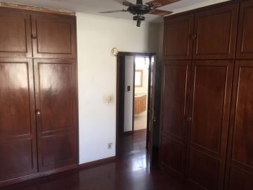 Alugar Comercial / Ponto Comercial em Bauru R$ 4.000,00 - Foto 13 Alugar Comercial / Ponto Comercial em Bauru R$ 4.000,00 - Foto 13