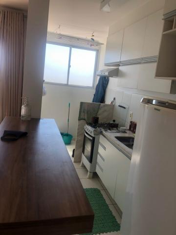 imagem 3 - Apartamento - Padrão imagem 3 - Apartamento - Padrão