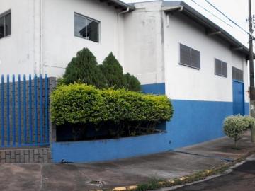 imagem 2 - Barracão a venda Vila Santa Luzia imagem 2 - Barracão a venda Vila Santa Luzia